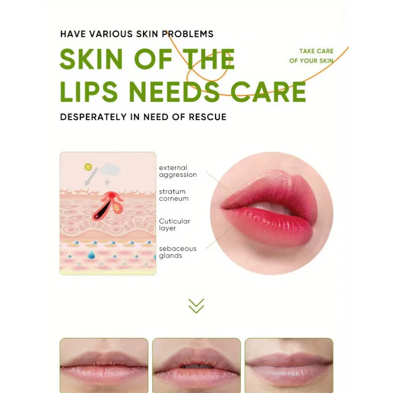 Baume à lèvres à l'aloe vera, masque à lèvres entièrement naturel, hydratant durable, pour les lèvres sèches, puissance hydratante, soin des lèvres, réparation nourrissante