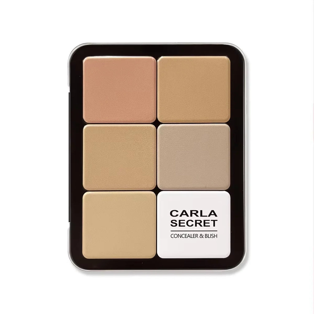 Boîte en fer pour correcteur de contour, crème pour fard à joues, palette de maquillage tout-en-un, 12 couleurs